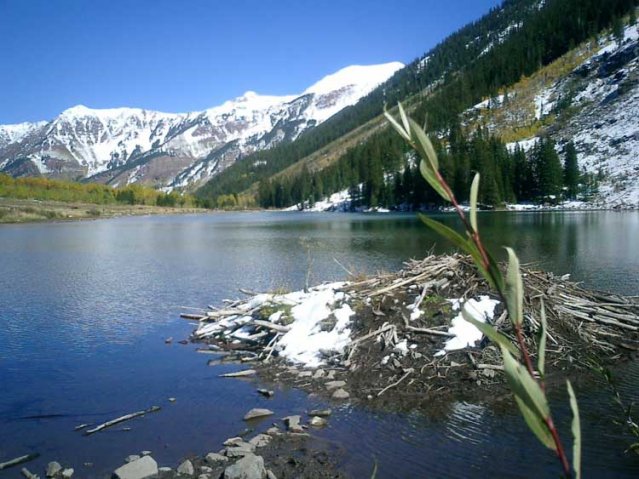 40 jubilum aspen delegation 032